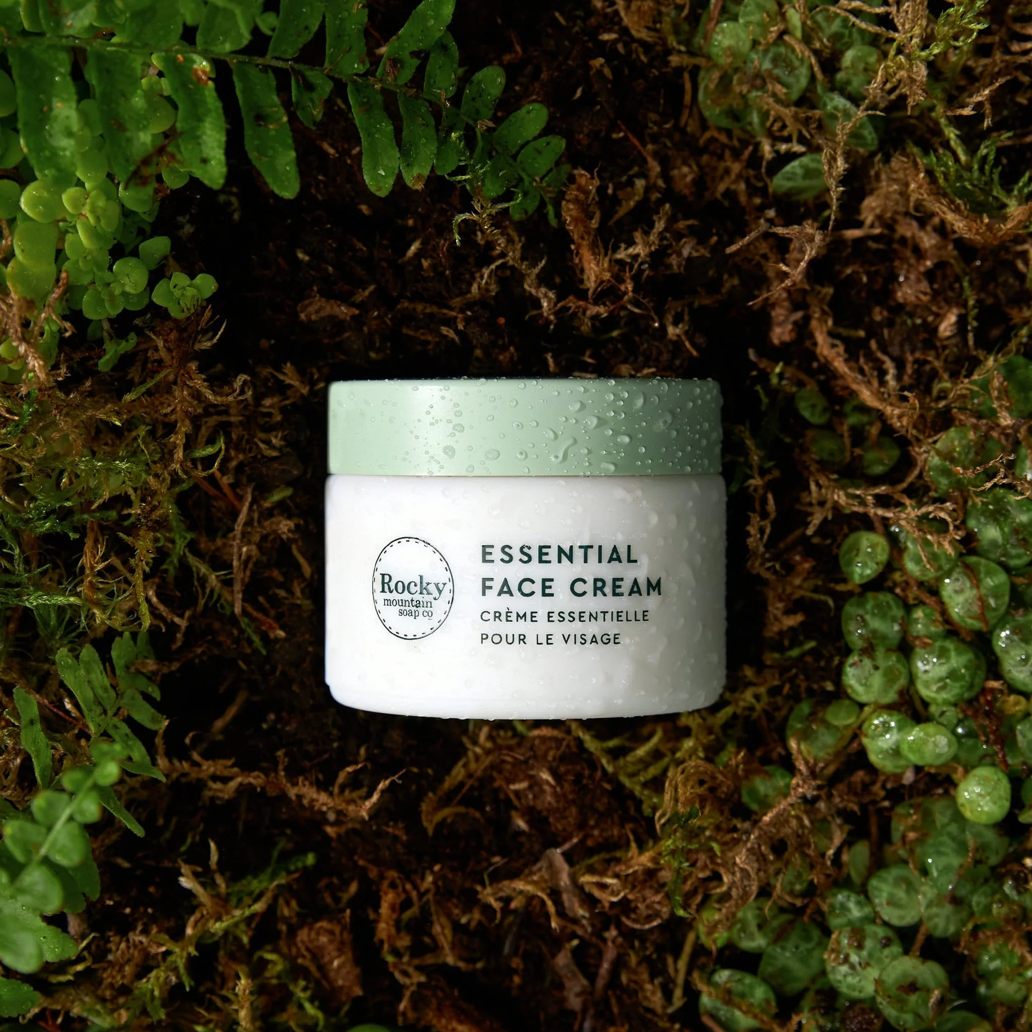 Complete Transformative Skincare Line - Image 4