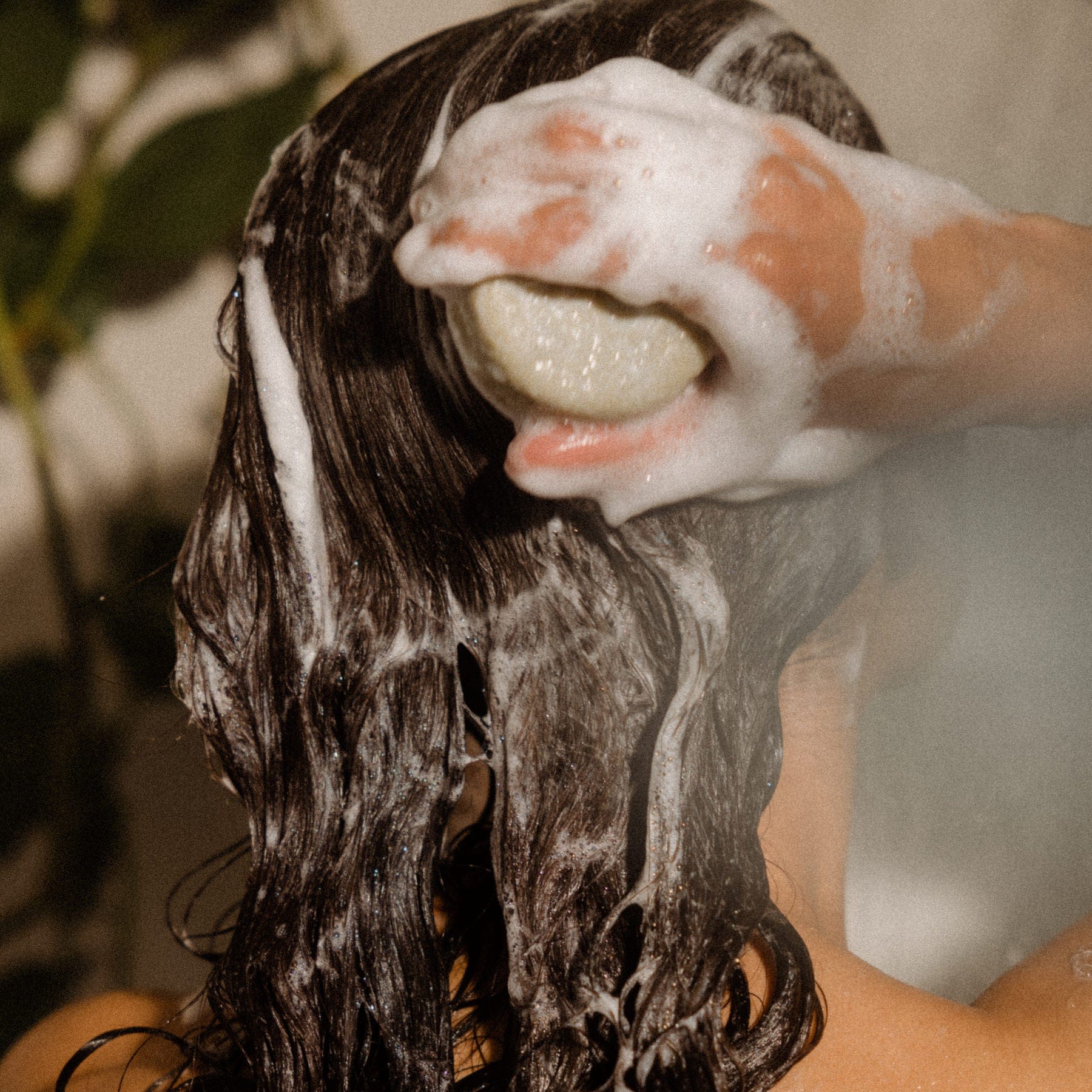 Hair Bar: Solid Shampoo - Image 4